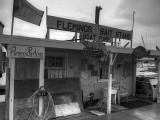 Flemings Bait