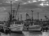 Shrimp Boats - Fulton Harbor