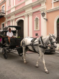 Carriage
