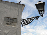 Parque de las Palomas