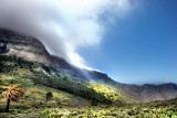 DSC03328a w.JPG