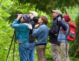 North Cascades Institute Birding Weekend- June 2010
