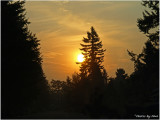 RIGHT BEHIND MY HOUSE