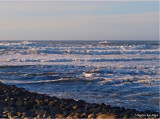 SMELL THE SALT AIR ?