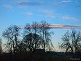 JUST . . . . PEACEFUL
