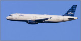 CRW_2915.jpg