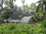 Panas Village