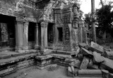 Ta Prohm