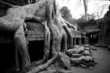 Ta Prohm