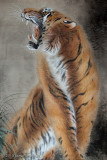 Silk Tiger