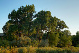 August Walk #7
