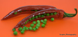 Chillpeas6107.jpg