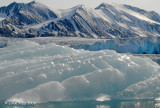 Iceberg, Liefdefjorden Svalbard 1