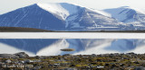 Reindeer Flats, Svalbard Norway  2