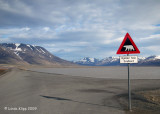Longyearbyen, Svalbard Norway 2
