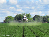 Spraying the Crops,  2