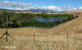 Mt Diablo from Marsh Creek Road 1