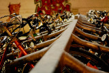 Bikes; Leuven station