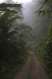 Kaeng Krachan km27, below the parking
