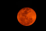 Red Moon Rising