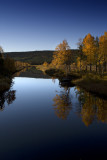 Autumn reflections