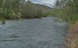 Umatilla River, May 08