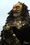 Venetian owl