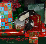 Merry Crittermas & Happy New Year
