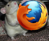 Firefox World In His Hands
