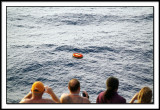 Leftover Flotation Device from Rescue at Sea