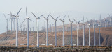 Palm Springs Windmills