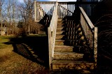 Backyard Shadows
