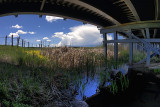 Water Under the Bridge