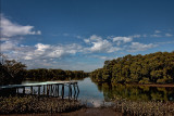 3rd Place - Lota Mangroves - by Rod