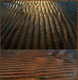 <b>1st: </b>Sand by Rod