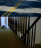 The Road Home