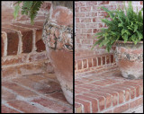 Brick Ferns