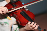 Violin