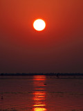 Shimmer
