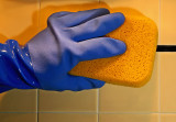 Cleaning Day