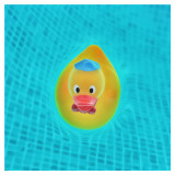7th: A good day for Rubber Duckie<br>by Lydia too