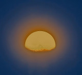 Sunny Side Up