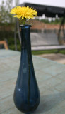 dandylion in another blue bottle