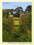 Footpath to wherever