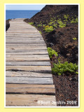 Teno walkway (2)