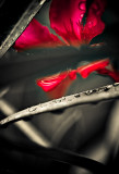 Jungle Red