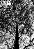 _RW_8098.4.jpg