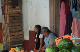 Una flor entre los legumbres