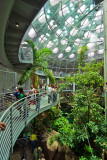 Inside the Rainforests Dome