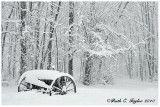 Winter Along Cold Spring Creamery